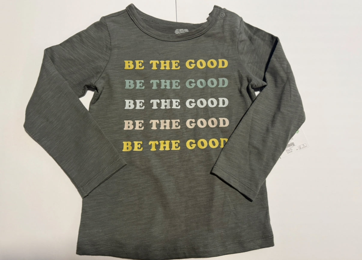 Seller #2 - NWT Little Co. Shirt - 24 months