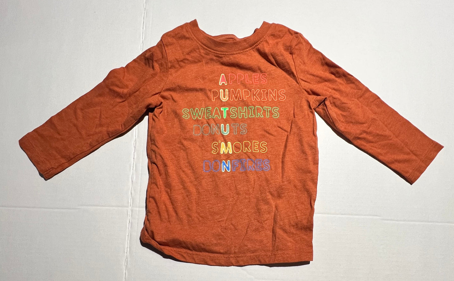 #98 Girls Autumn Themed Shirt - 2T