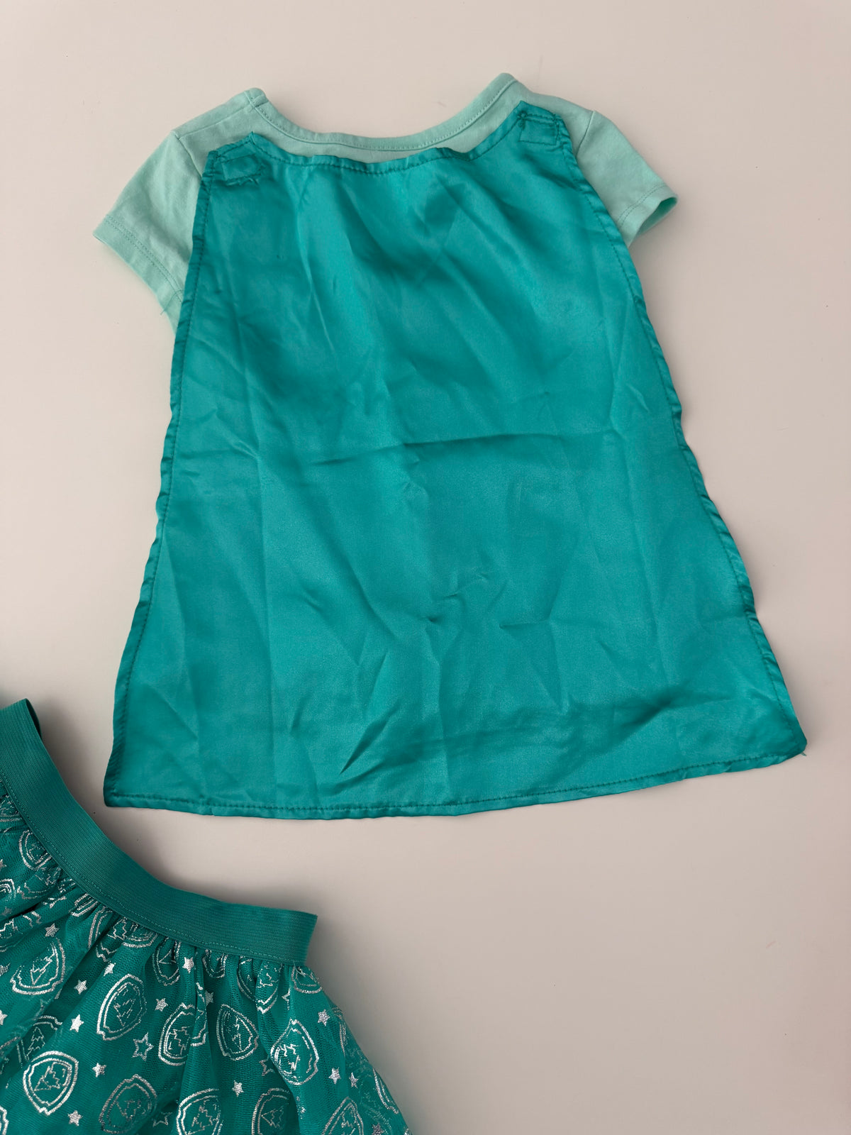 #117, Girls 4T, Nickelodeon Everest Costume, VGUC