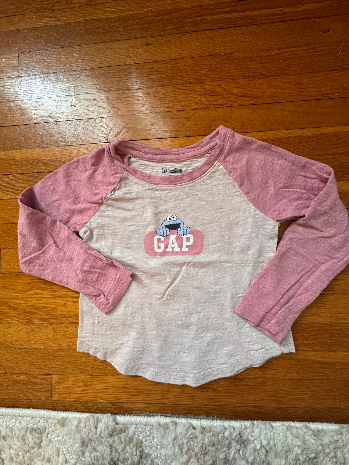 #127 Baby Gap Sesame Street Tee Girls 4T