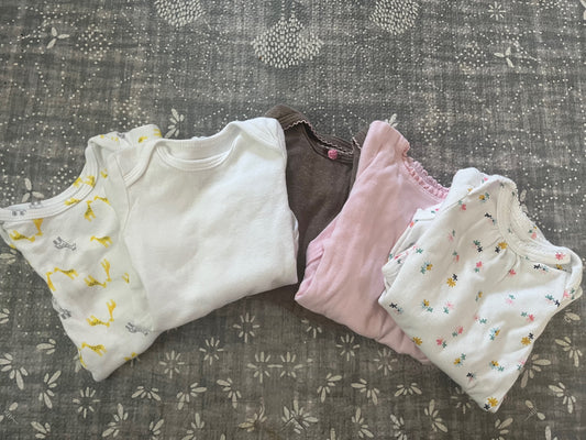 Girl Newborn Long Sleeve Onesies - Set of 5