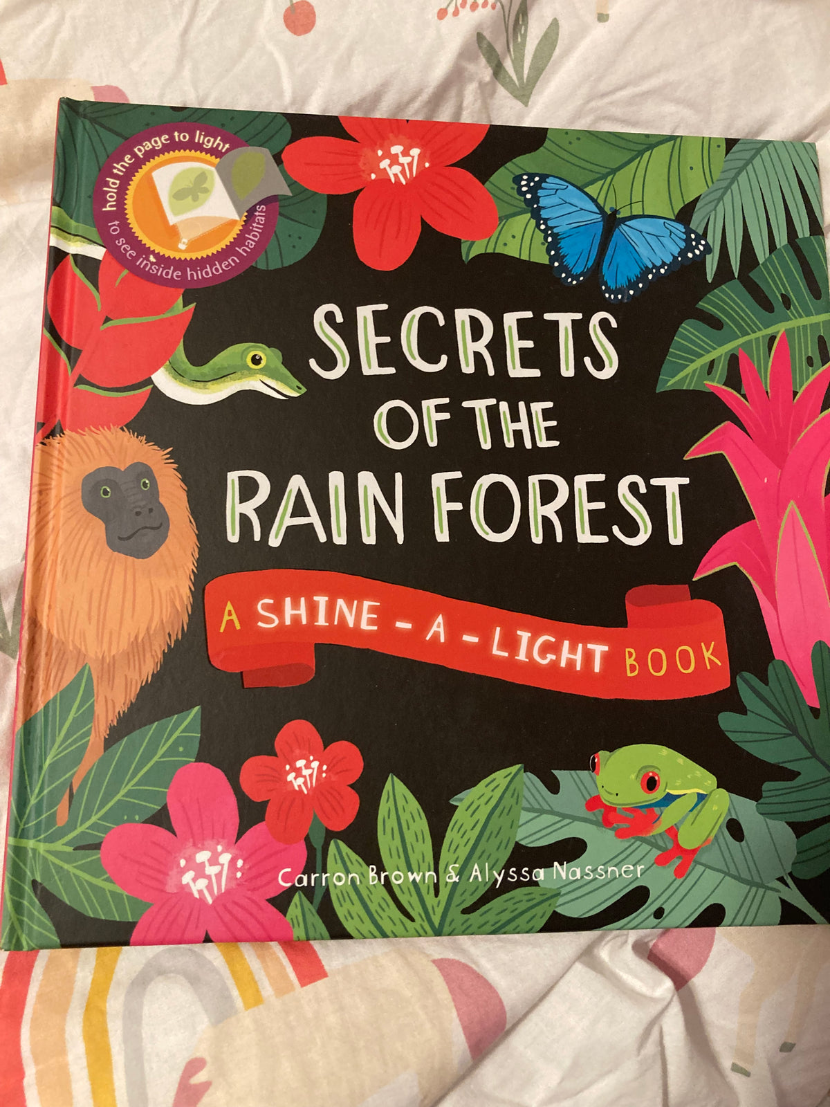 Seller #60 Usborne Shine A Light Book: Secrets of the Rain Forest
