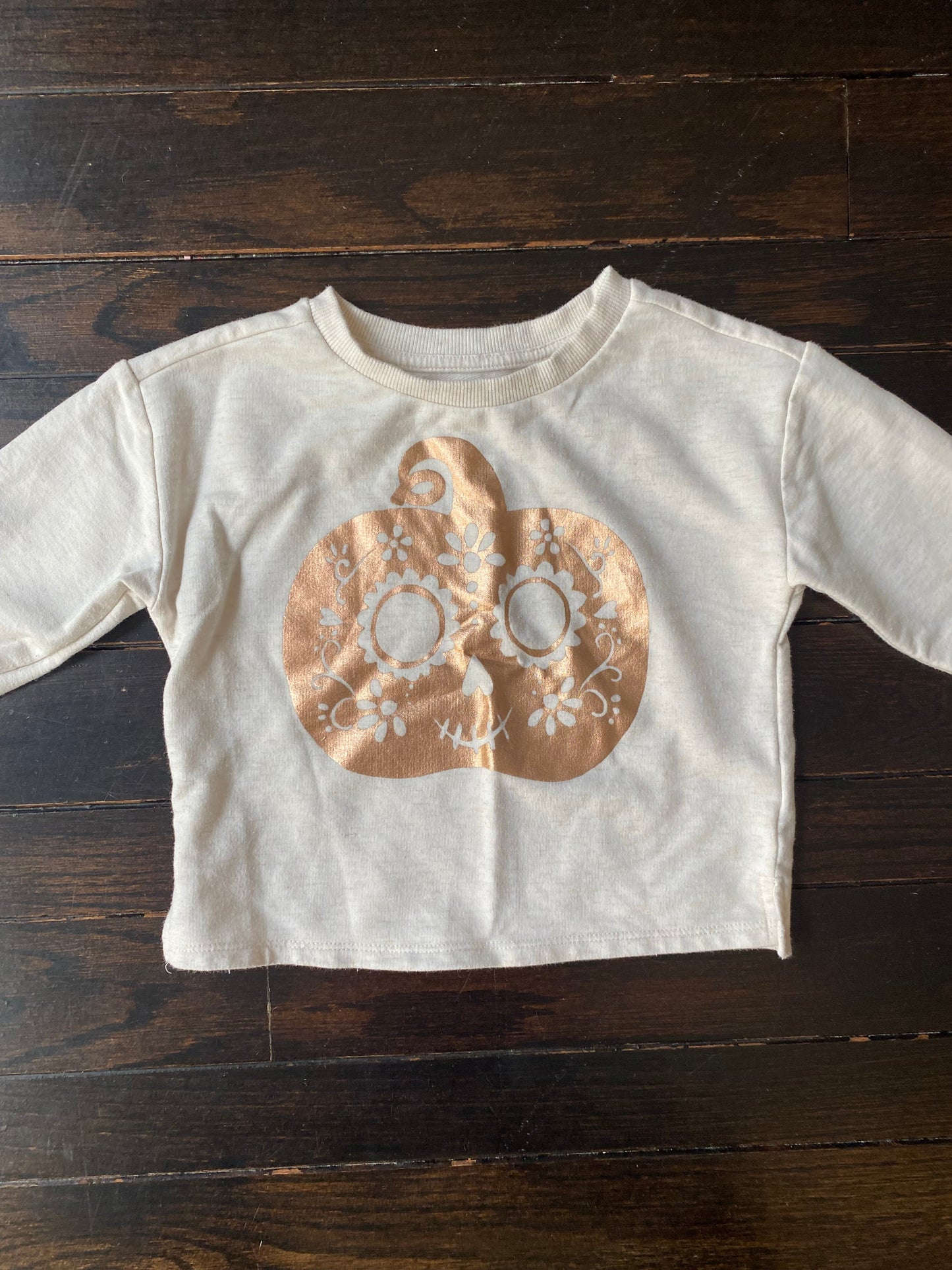 #117- Girls 3T, Gymboree tan pumpkin sweatshirt, GUC,*reduced*