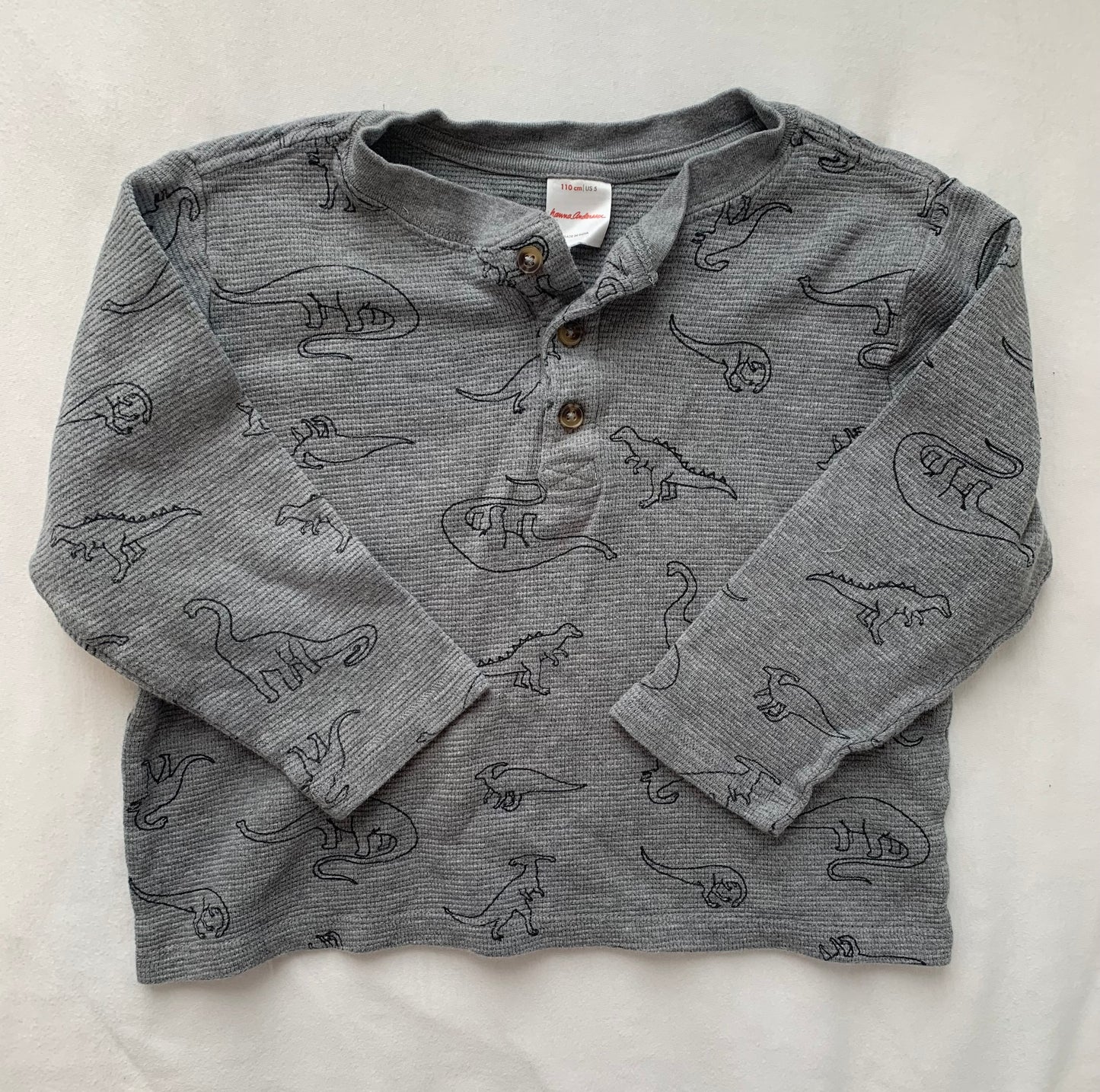 Seller #15 Boys 5 Hanna Andersson Dinosaur Shirt