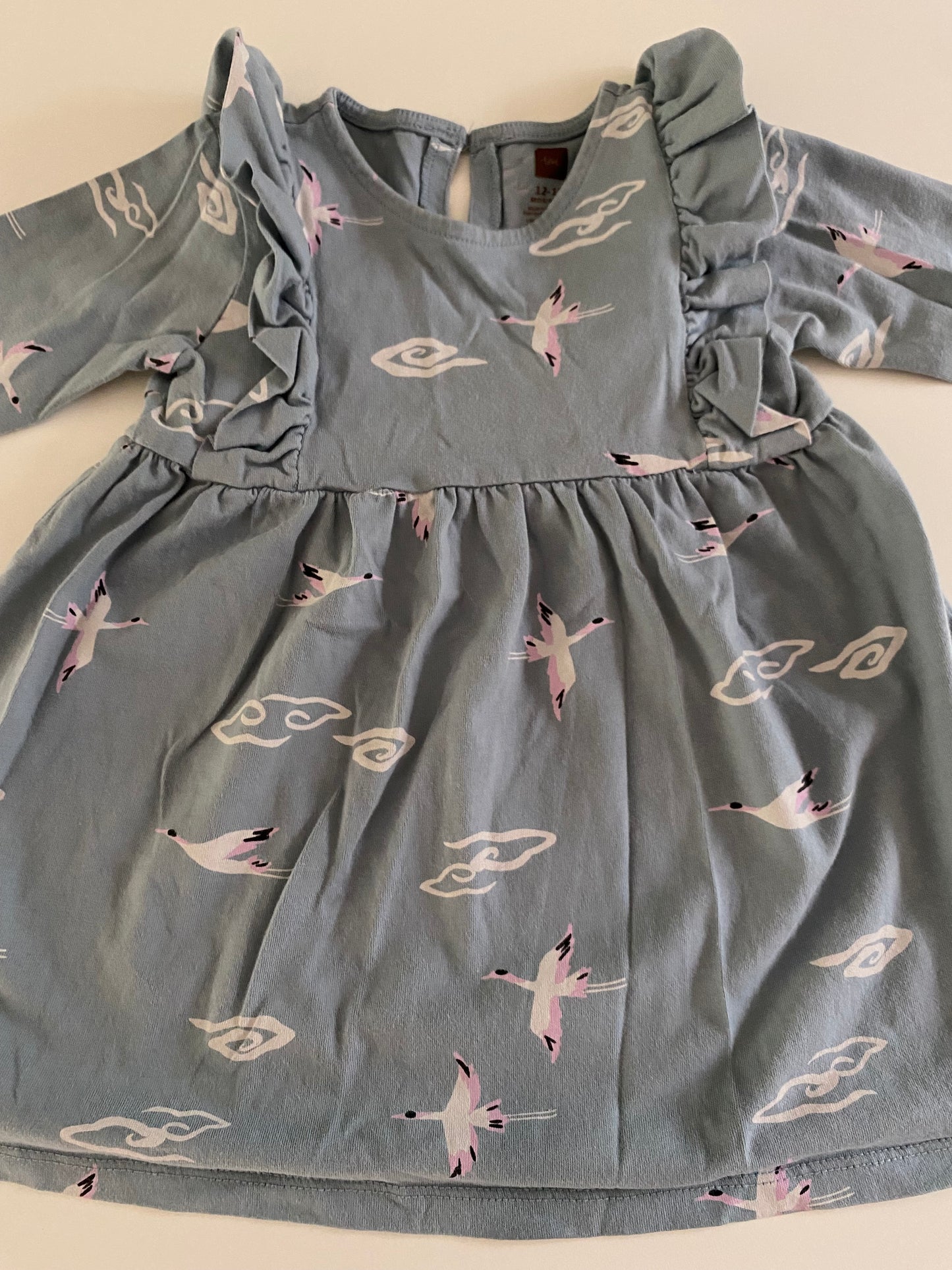 #84B- Girls 12-18M, Tea blue bird print dress and Gap rose dress with tiered tulle, VGUC