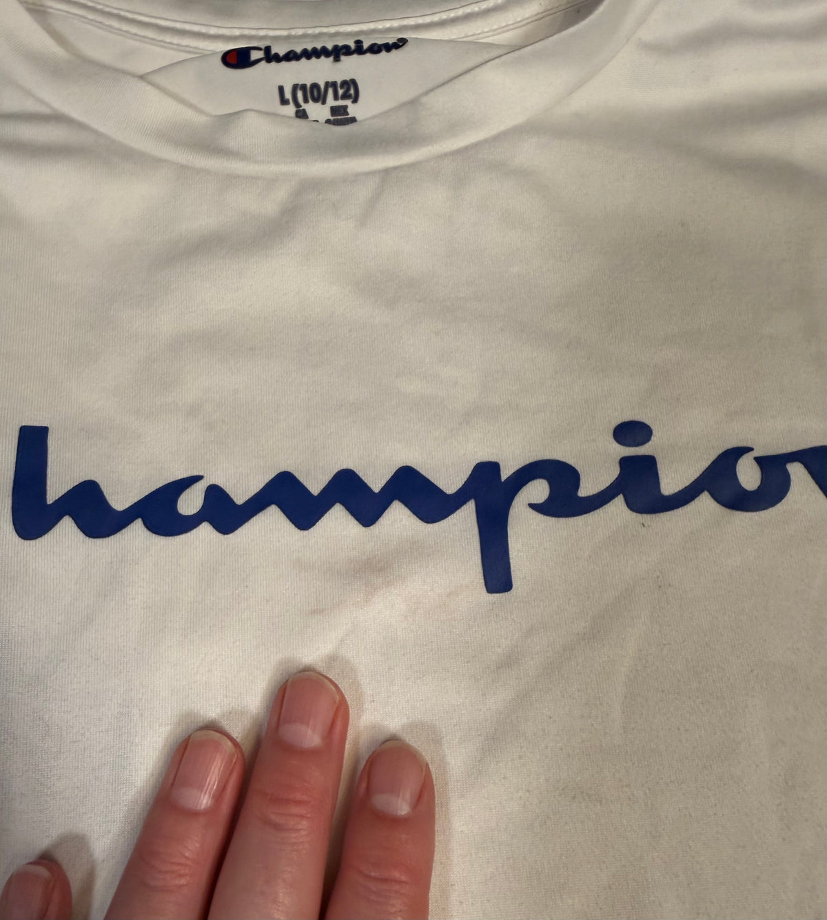 #141 Boys Large 10-12 Set of 3 Champion Athletic Shirts