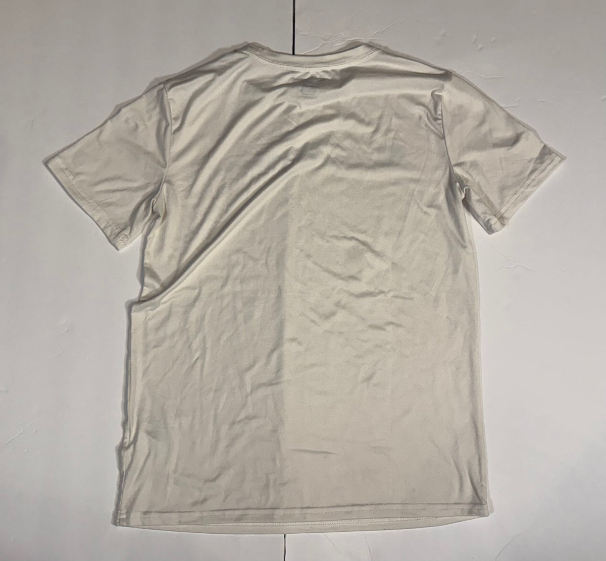 #141 Boys Large 10-12 Set of 3 Champion Athletic Shirts