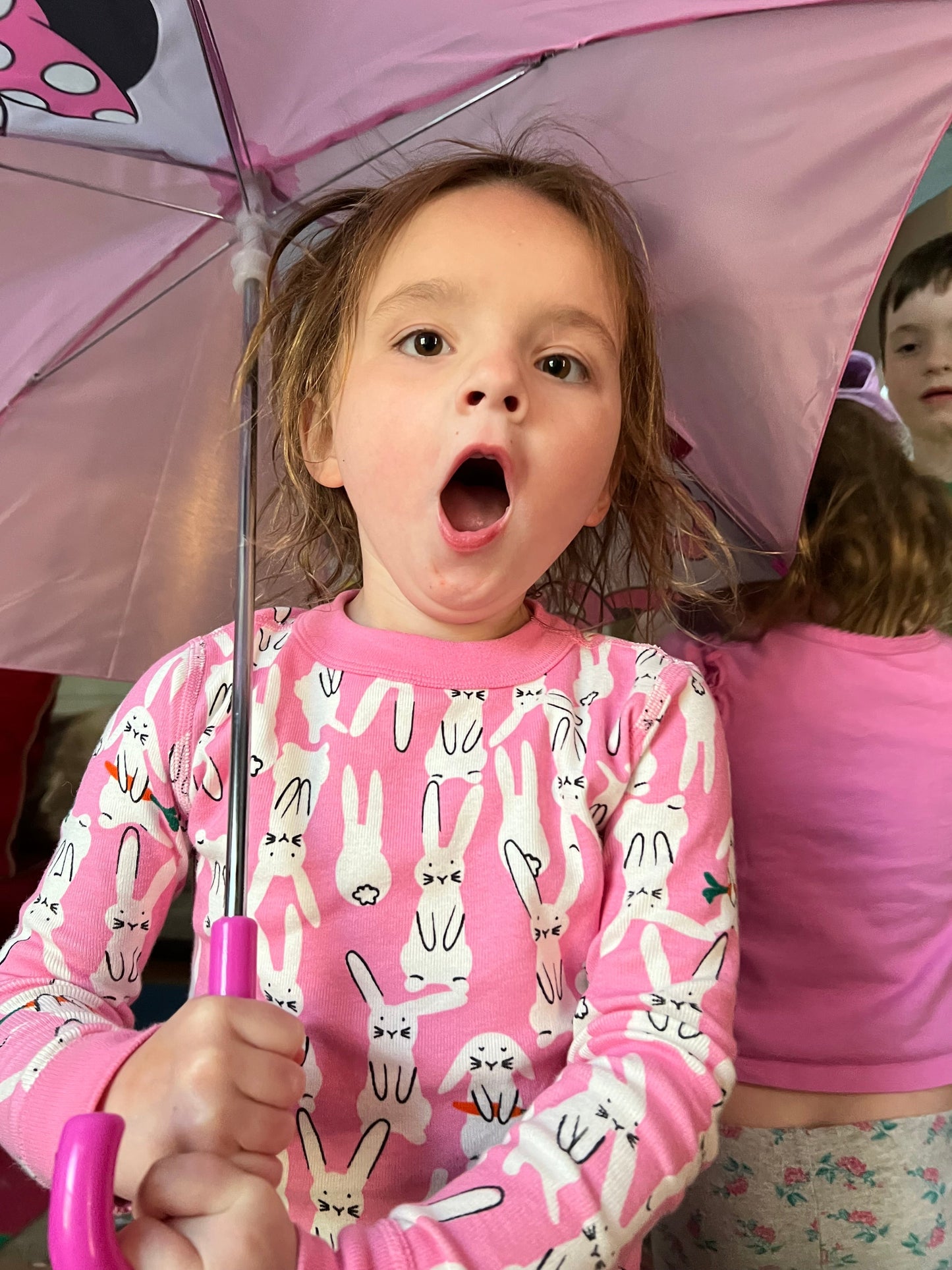 #180 Girls 100 (4) Hanna Andersson Pink Bunny Pajamas (2 available)