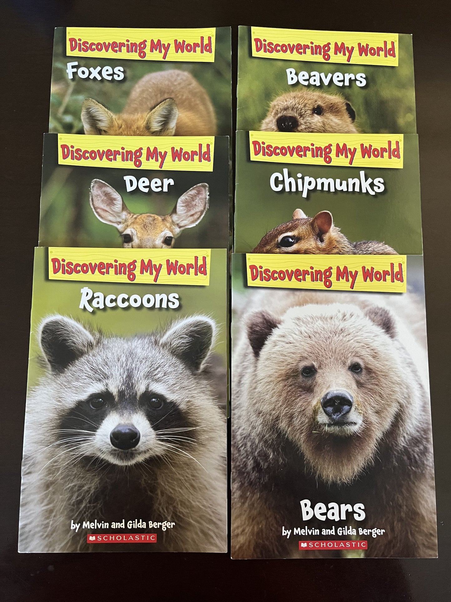#124 EUC Set of 6 Scholastic Paperback Books Discovering My World
