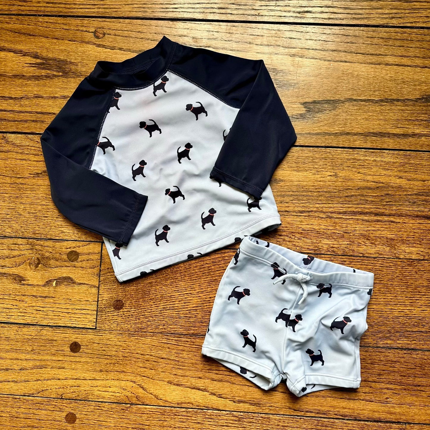#95 GUC Boys Janie and Jack Blue Dog Swim Shirt and Shorts, size 12-18 months