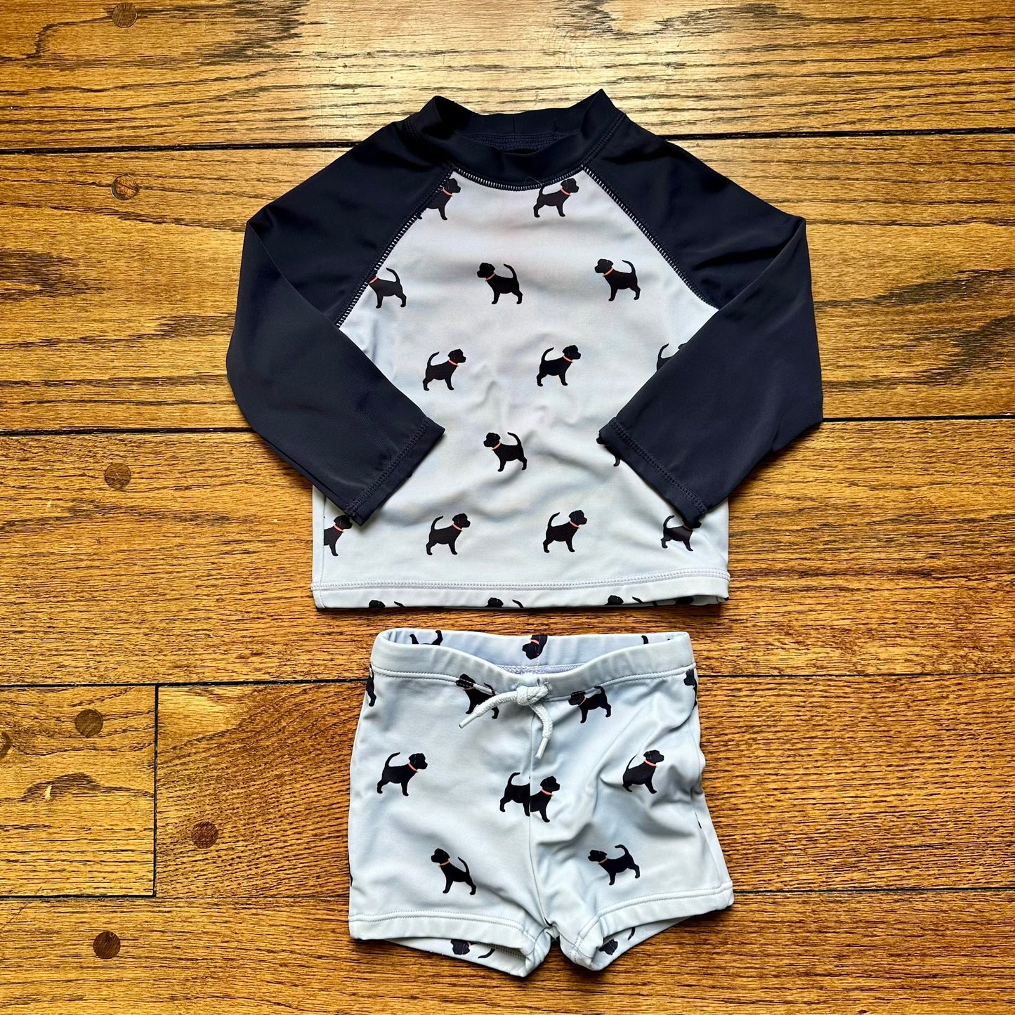 #95 GUC Boys Janie and Jack Blue Dog Swim Shirt and Shorts, size 12-18 months