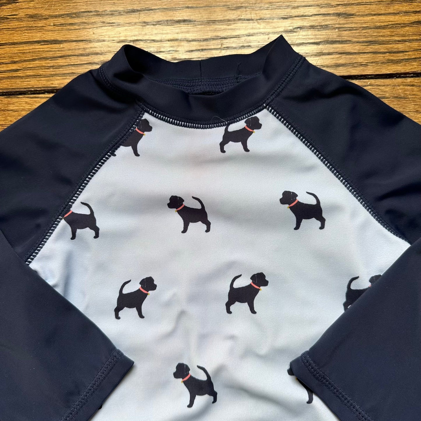 #95 GUC Boys Janie and Jack Blue Dog Swim Shirt and Shorts, size 12-18 months