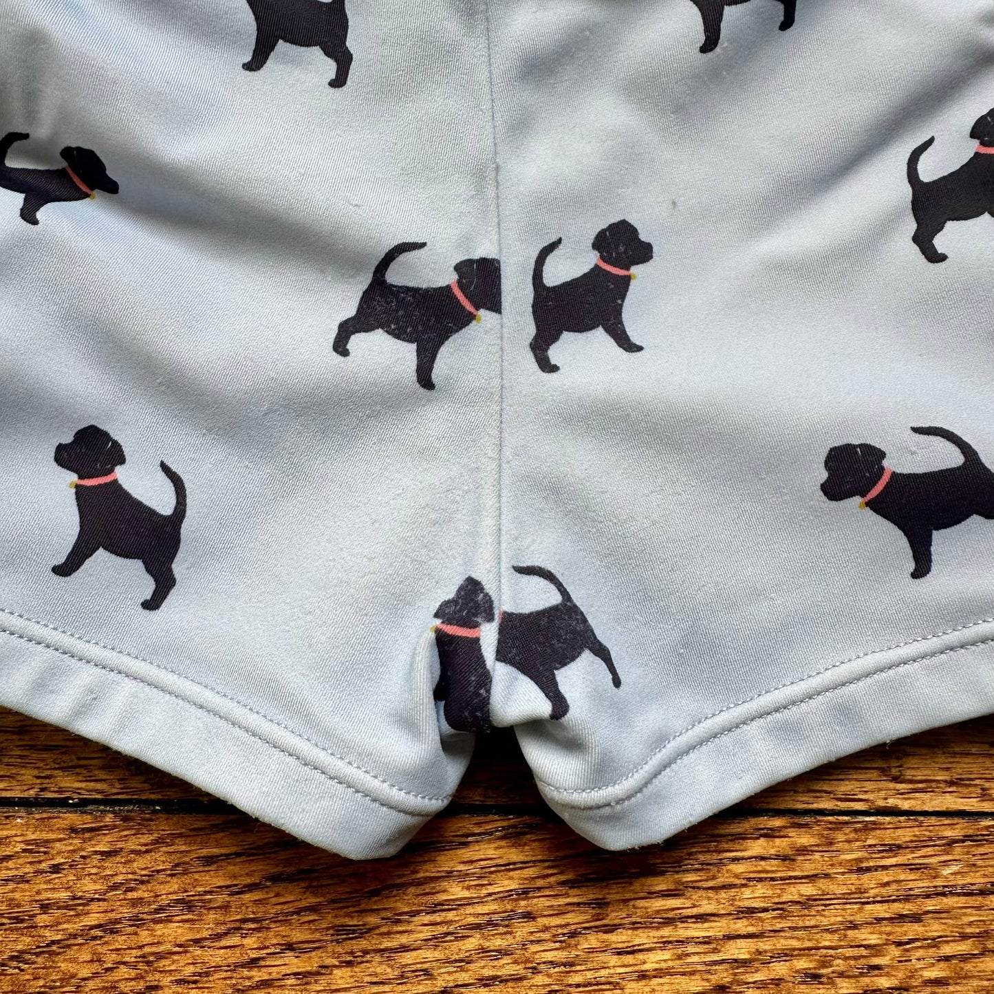 #95 GUC Boys Janie and Jack Blue Dog Swim Shirt and Shorts, size 12-18 months