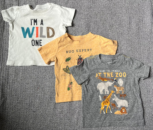 Seller #13 Carter’s 9 months boys shirt bundle - see details