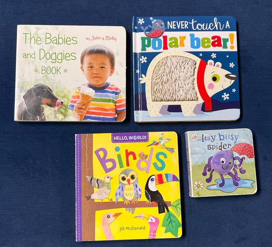 #66 Board Book Bundle: Itsy Bitst Spider (finger puppet book), Never Tpuch a Polar Bear (touch & feel texture book), Birds, and The Babies and Doggies Book