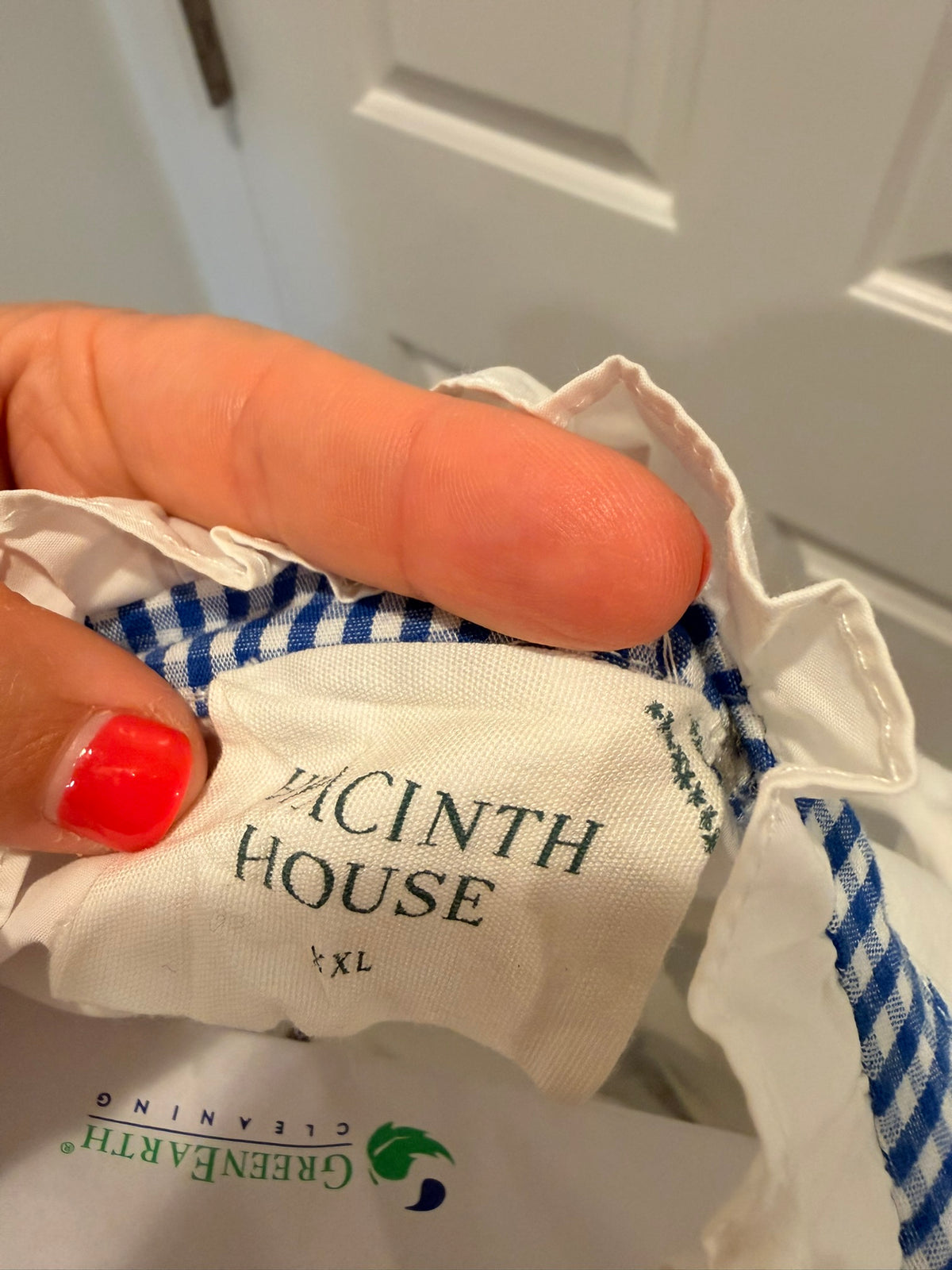 #85 Hyacinth House Tuckernuck White Shirt with Blue Gingham ruffles, Women's XXL