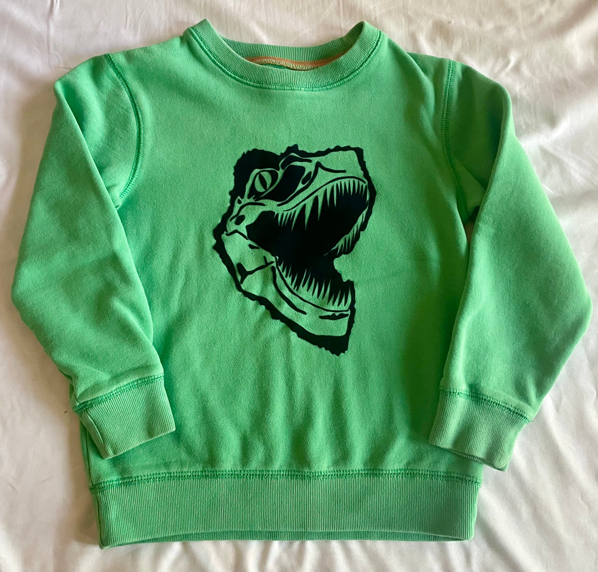 Seller #73 Mini Boden Dino Sweatshirt Boys Size 6-7