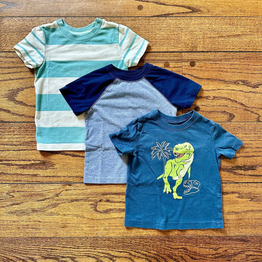 #113	GUC Boys Cat & Jack and OshKosh Tshirt, set of 3, size 18 months