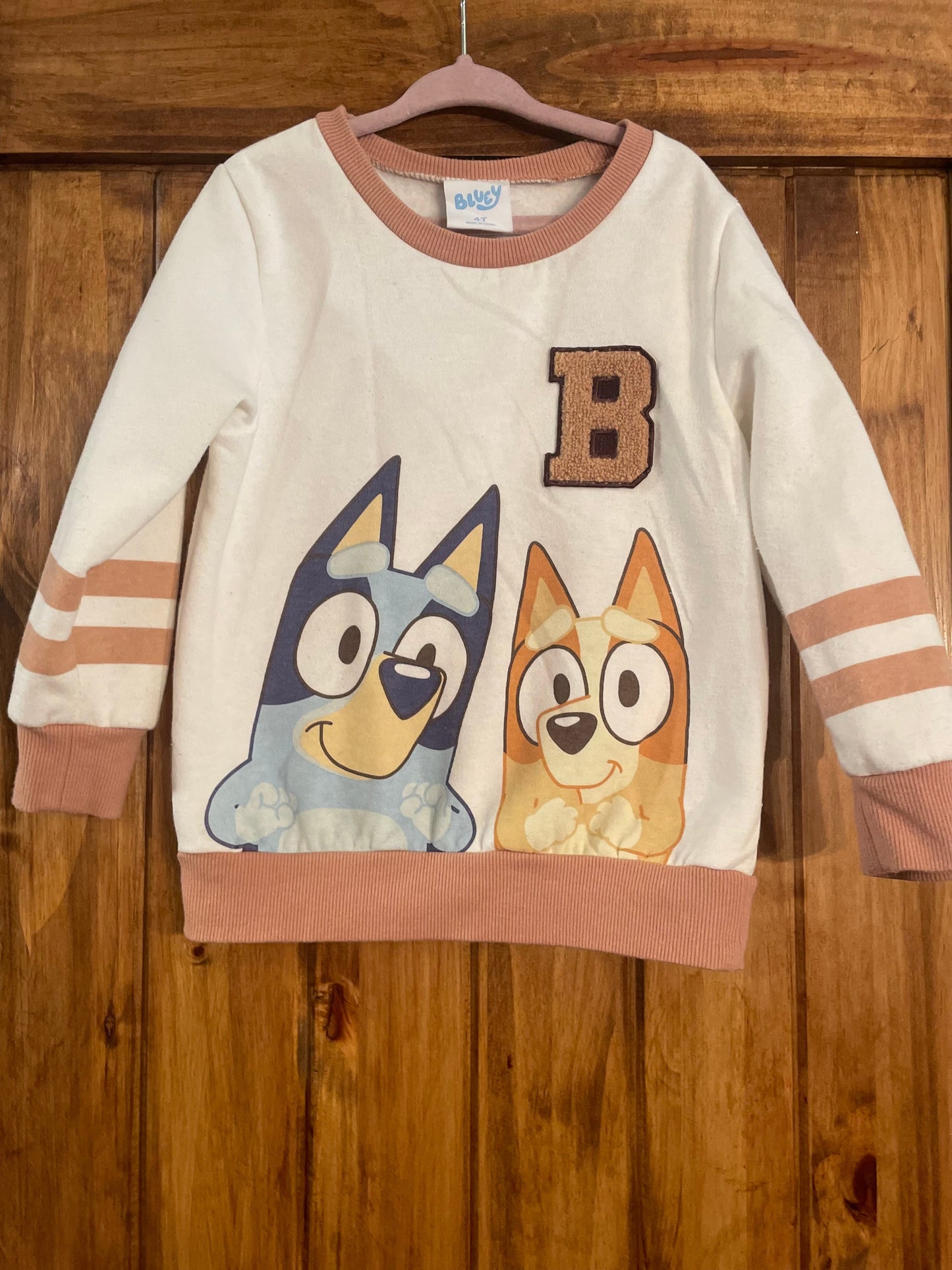 #177 Bluey 4T Sweatshirt