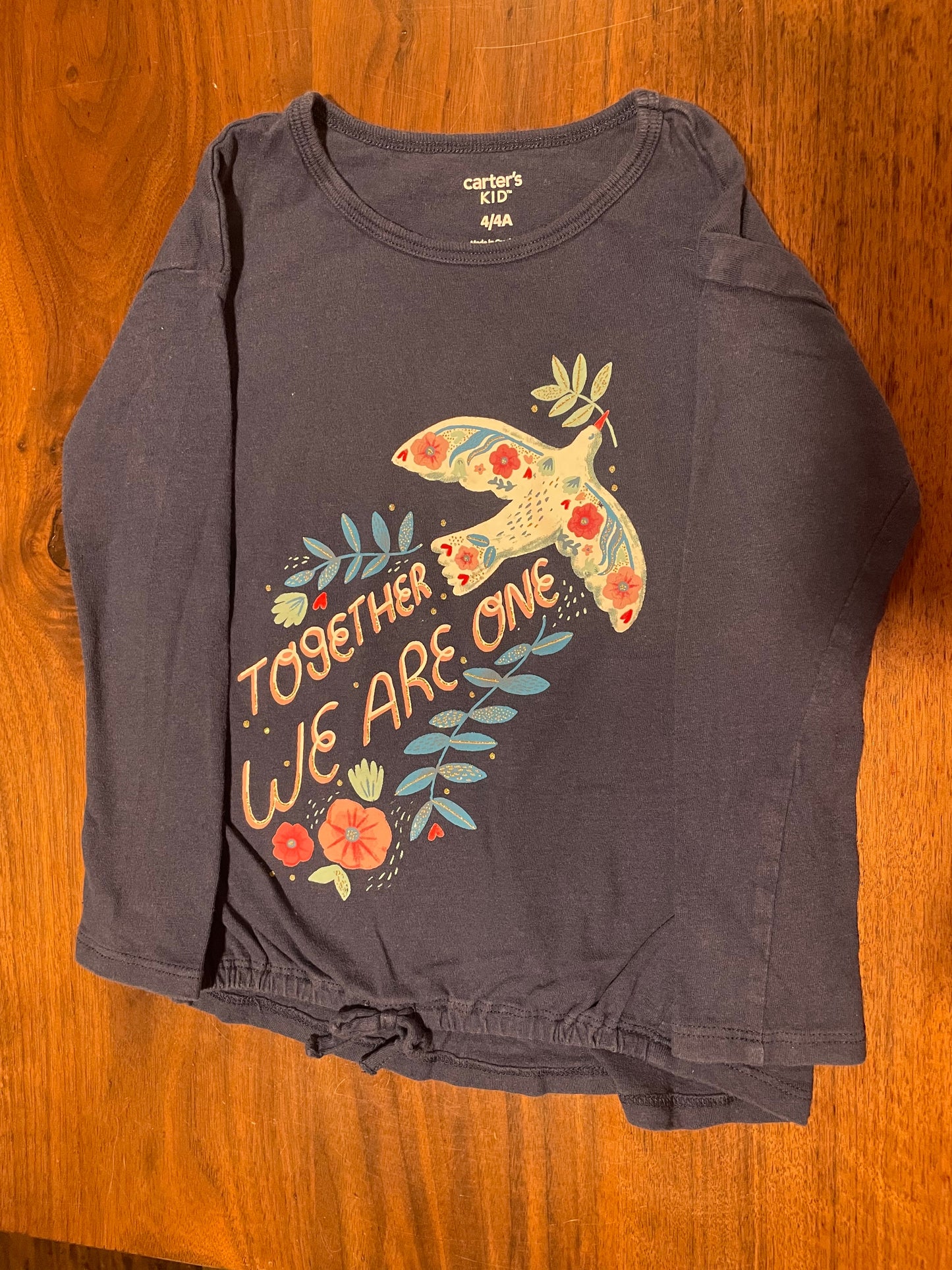 #177 Carter's Blue Girls Shirt 4T