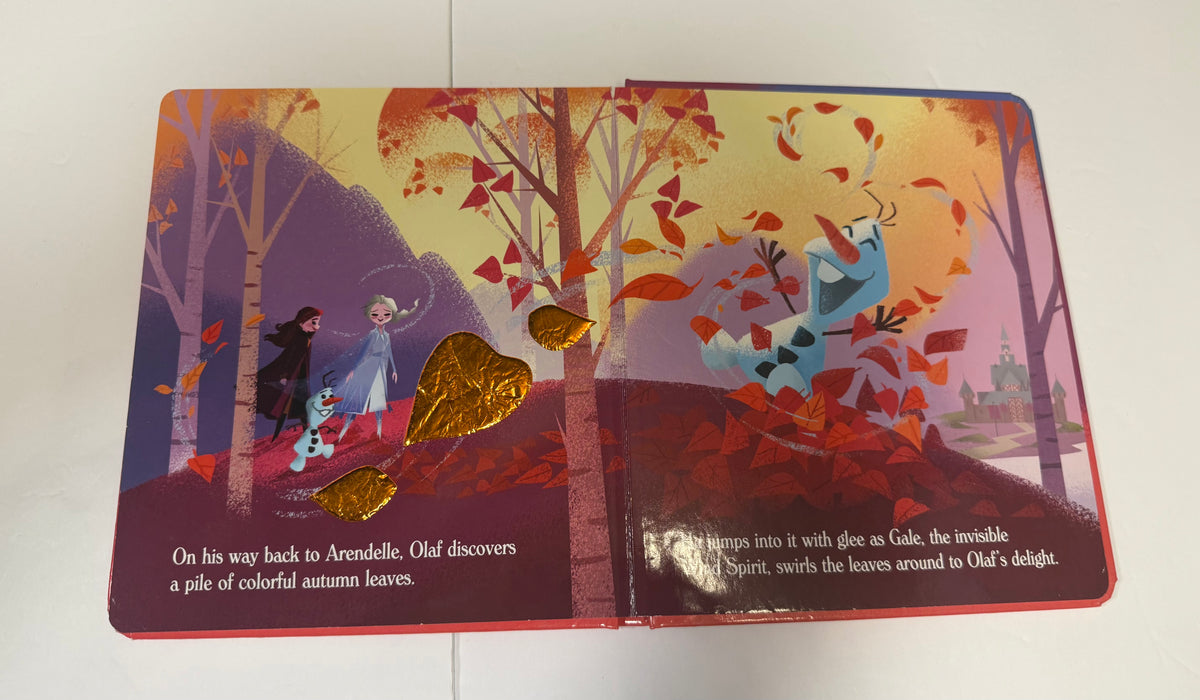 #141 Frozen book bundle - touch and feel and lift the flap