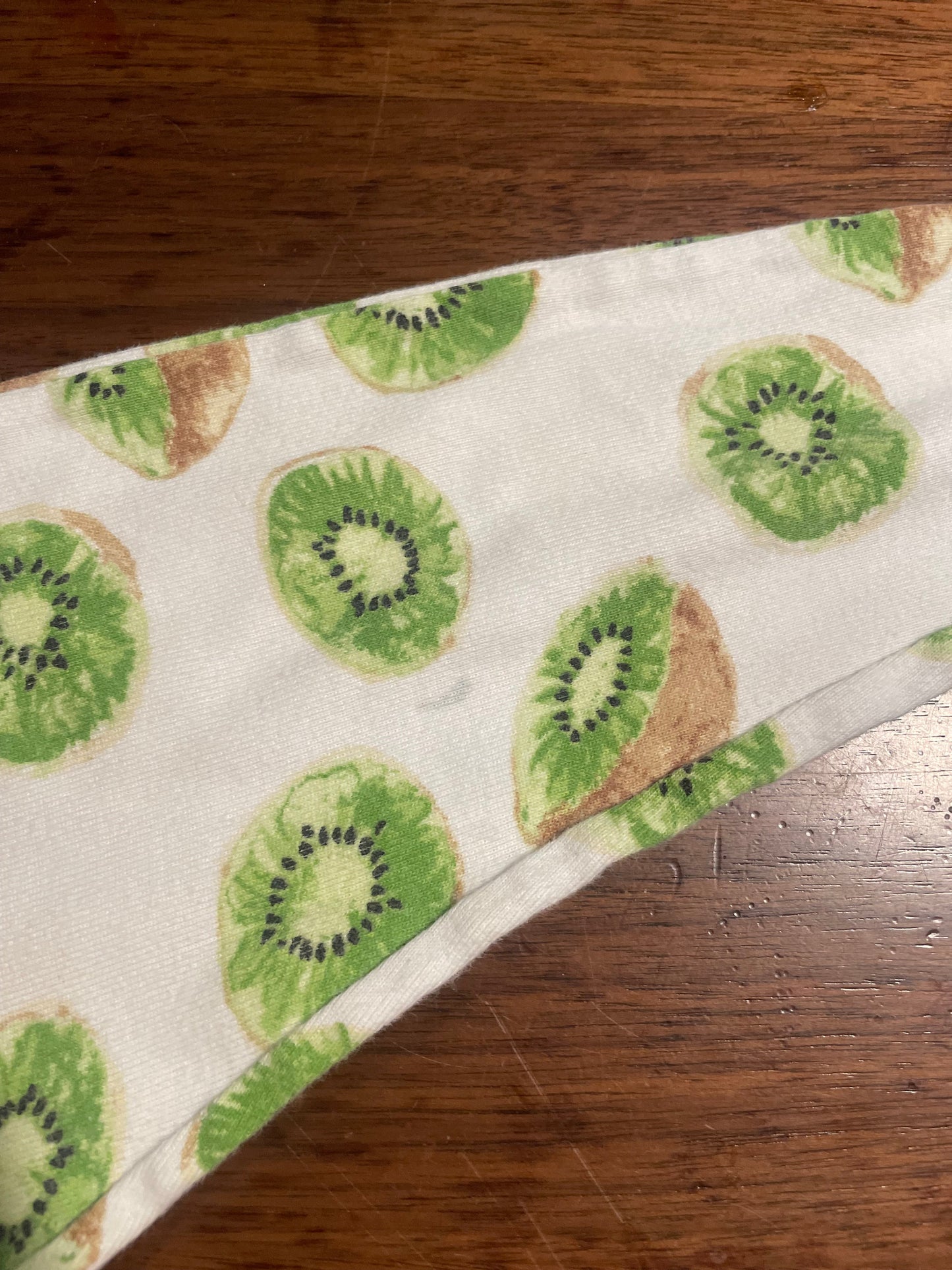 #177 Burt’s Bees Kiwi Girls Pajamas 4T