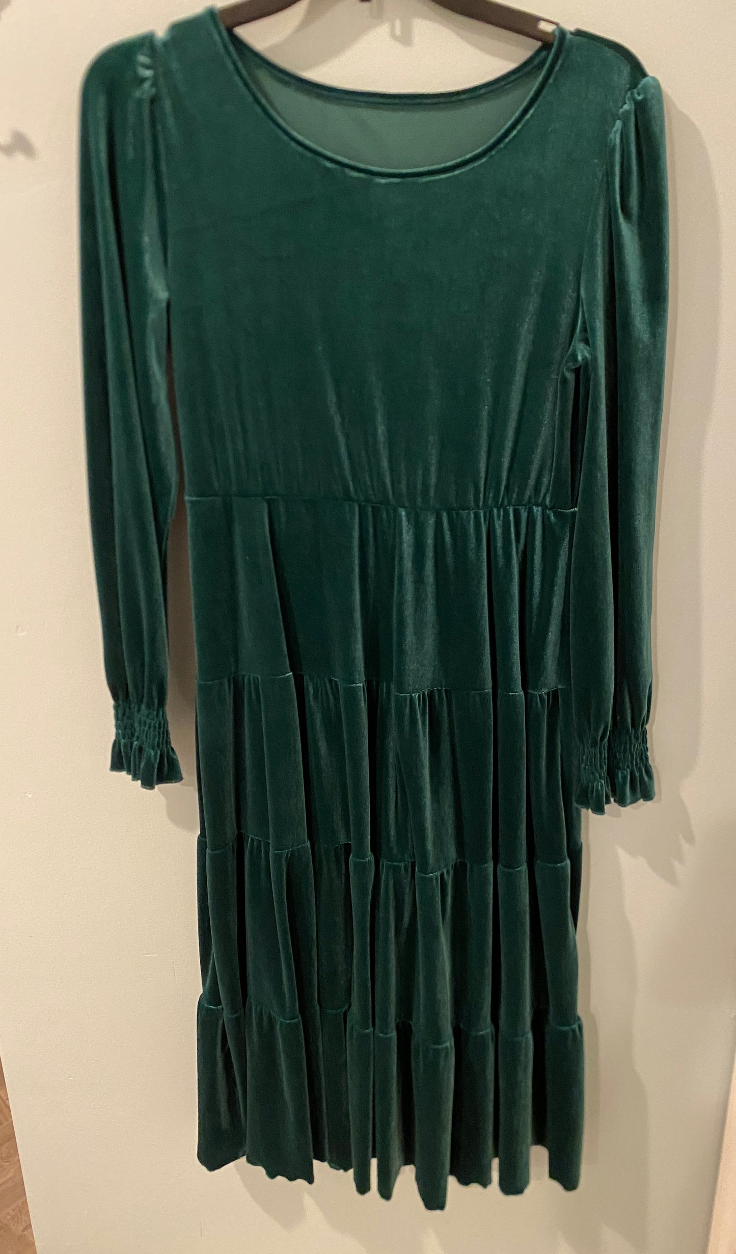 #41 green velvet dress large