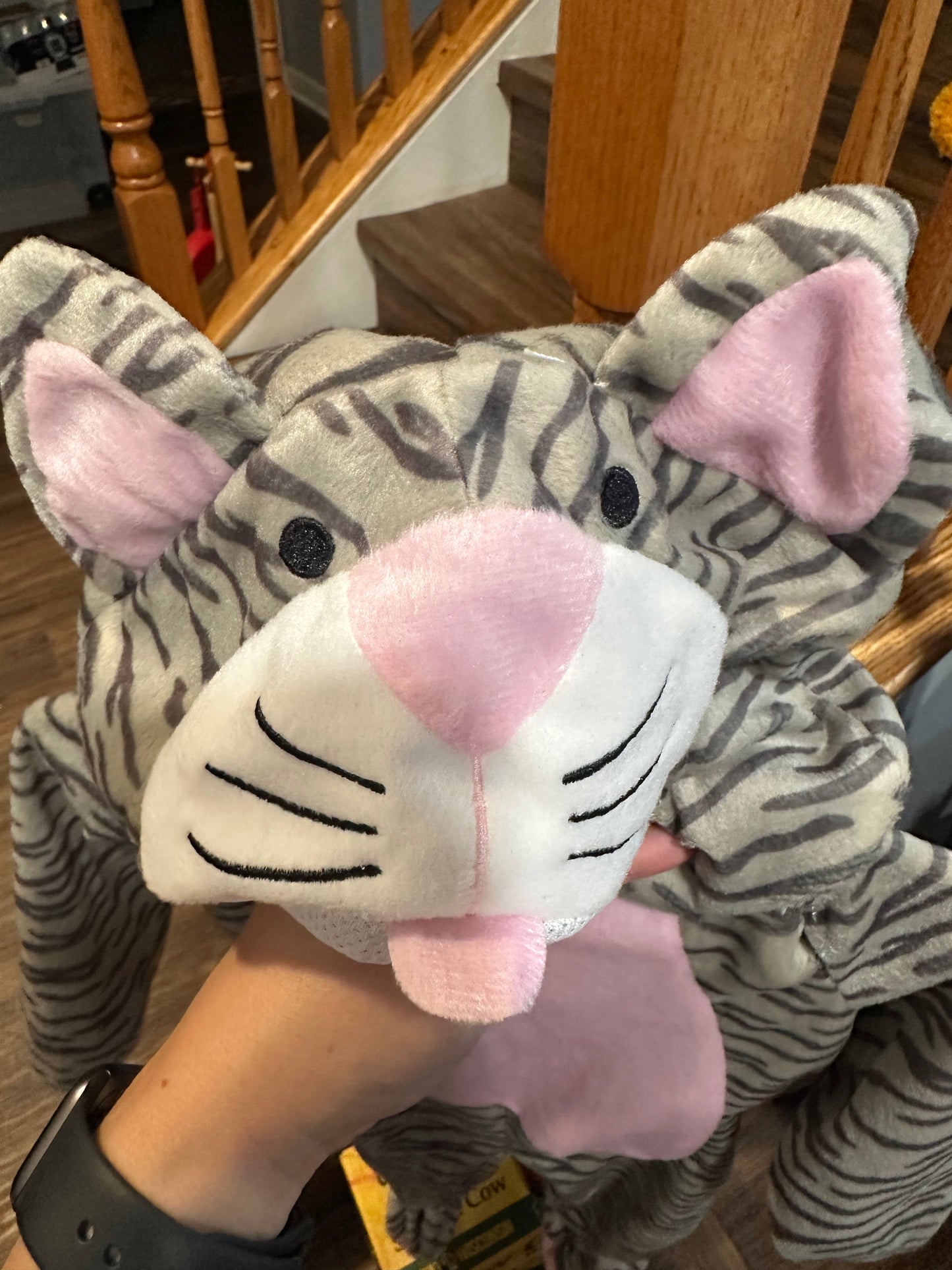 #24 size 18M cat costume
