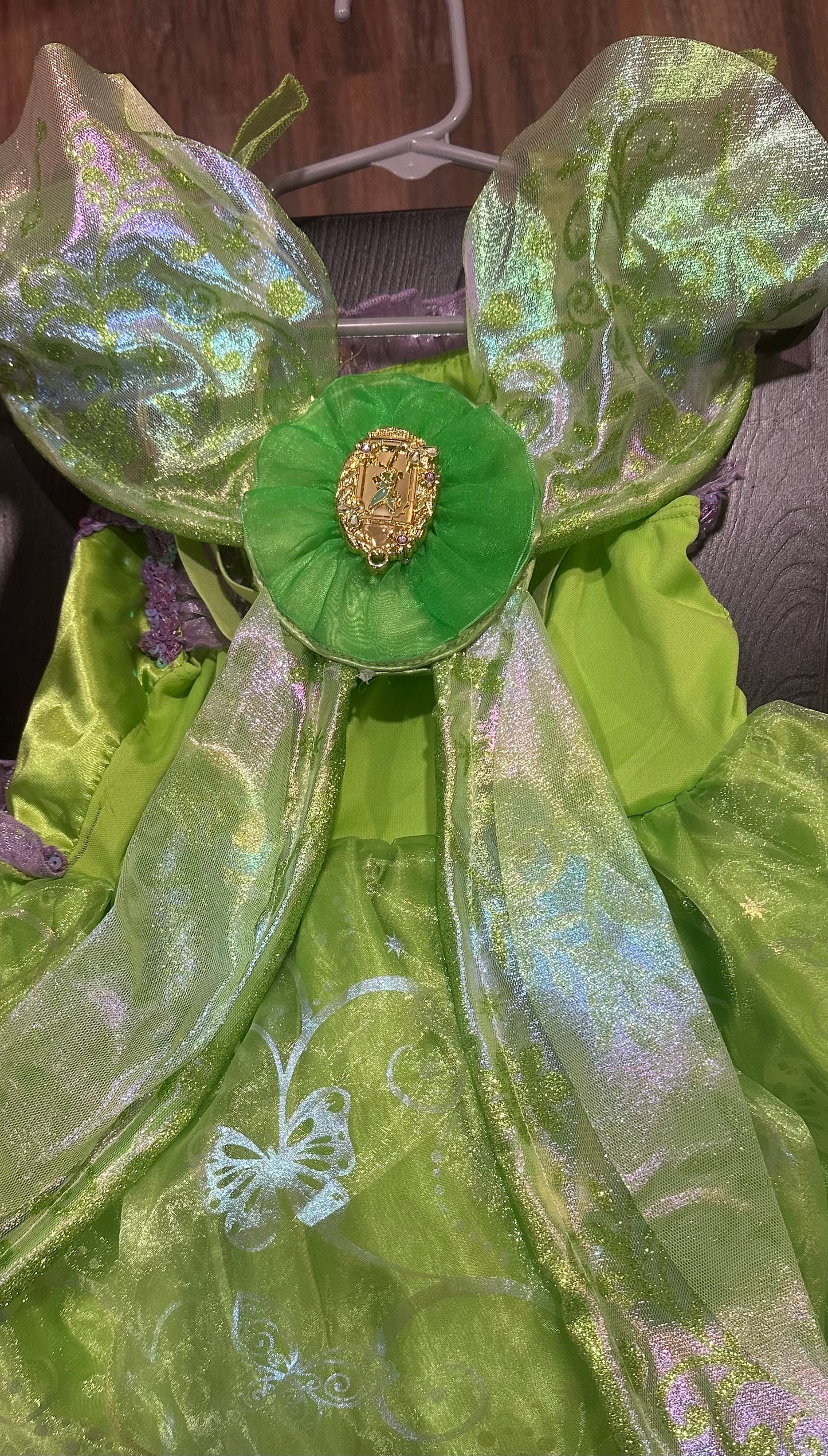 #24 5/6 Disney tinkerbell costume