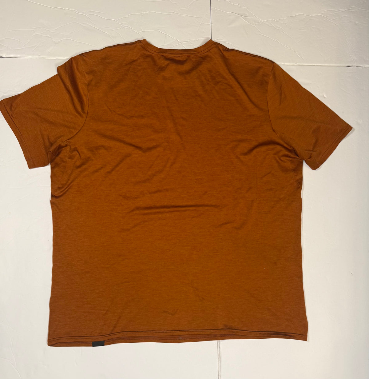 #141 Mens XL Patagonia Drifit Burnt Orange Mountain Graphic  Shirt