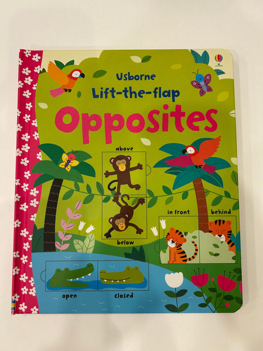 #119-Usborne Lift-the-flap Opposites