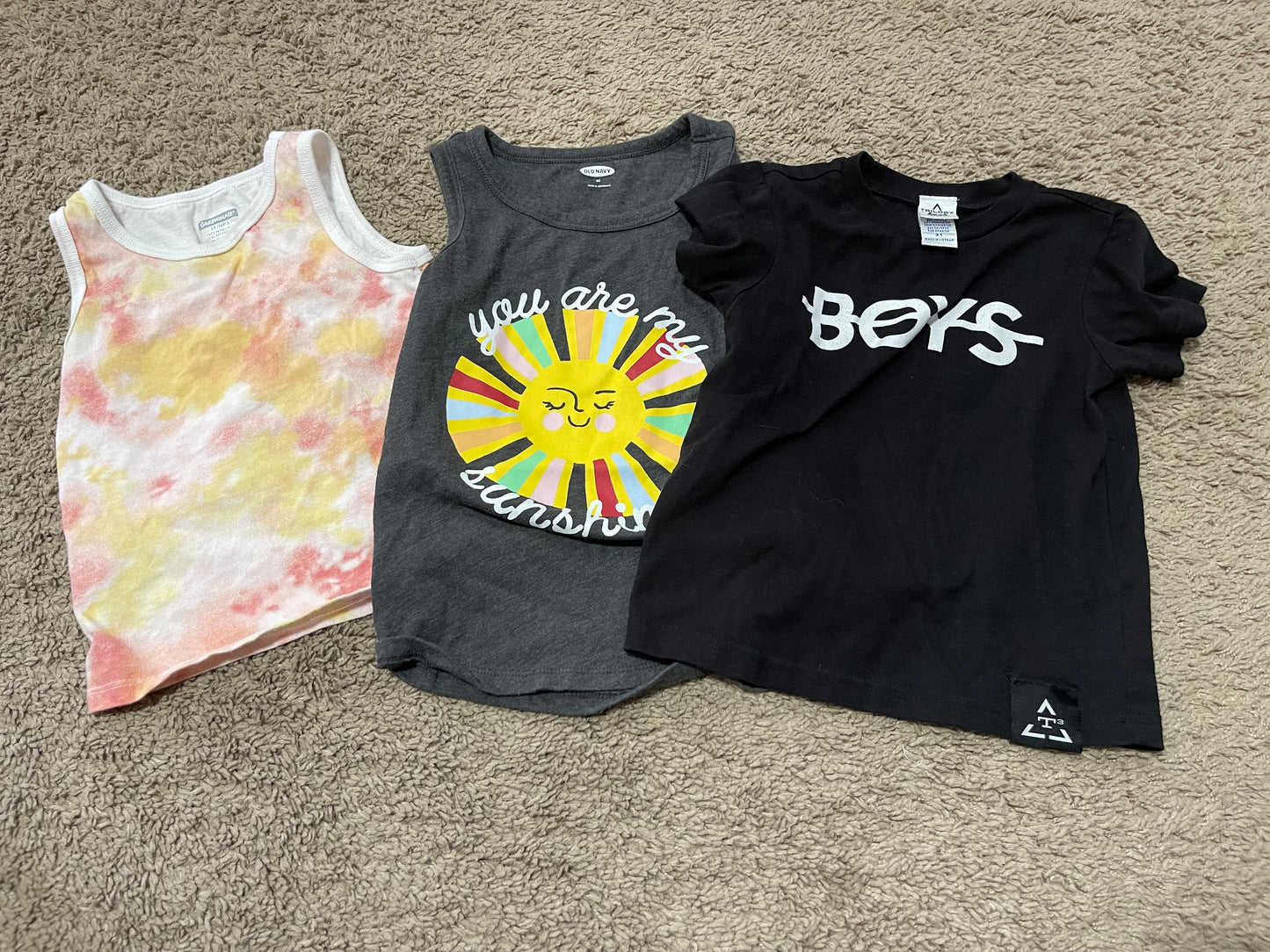 REDUCED Girls 3T Shirt Bundle (One 5T that fits like 3T)