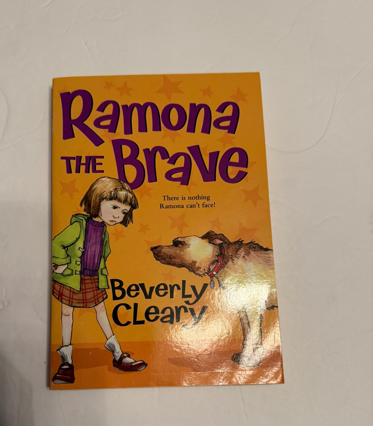 #141 Ramona 6 book bundle