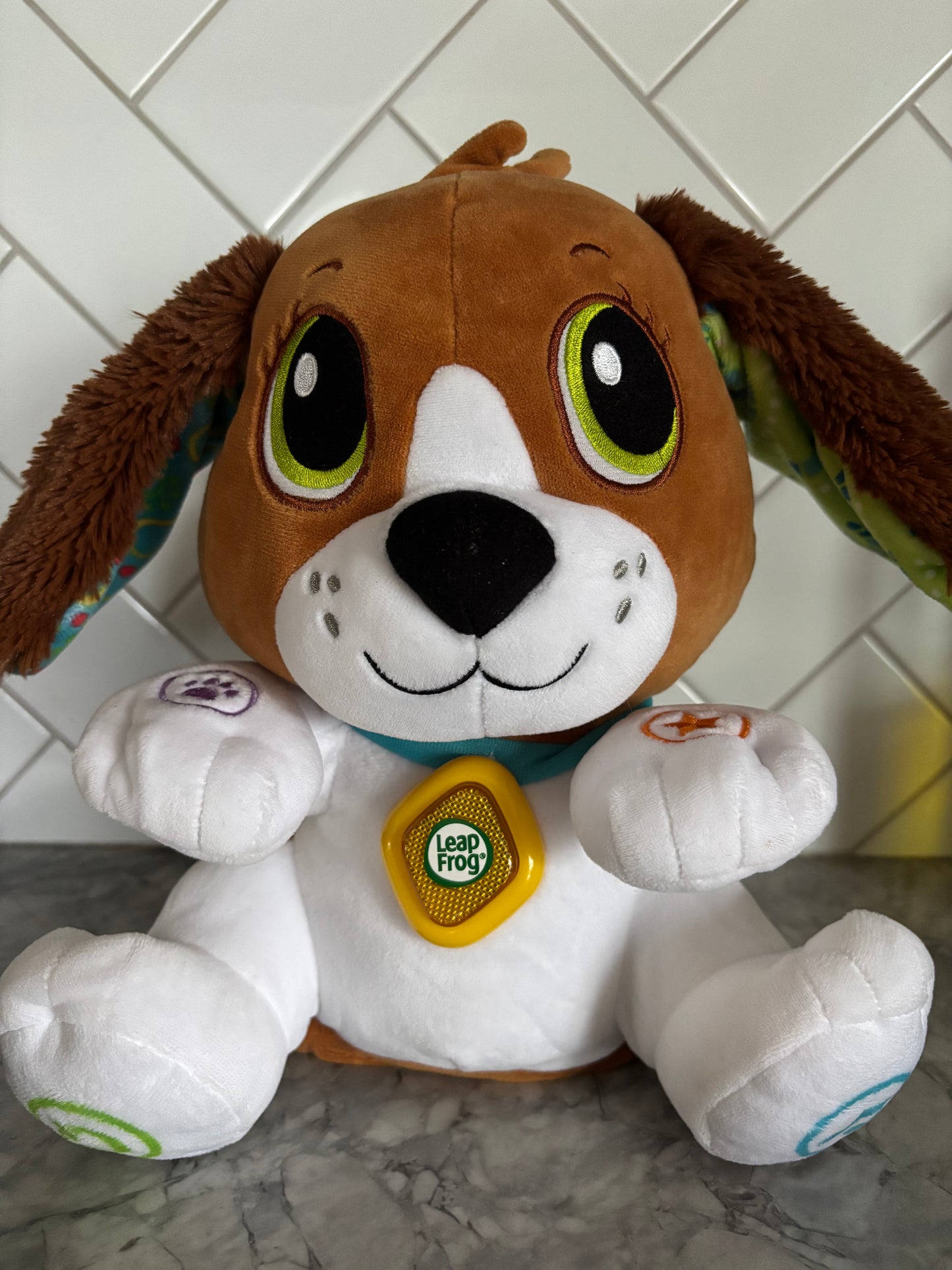 #70 Leapfrog speak and learn Bailey puppy