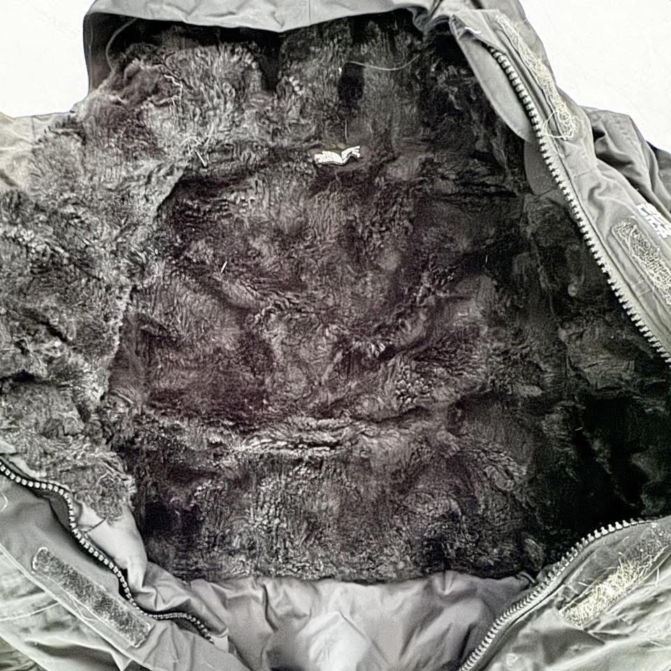 Seller 196- girls north face down parka with fleece lining 10