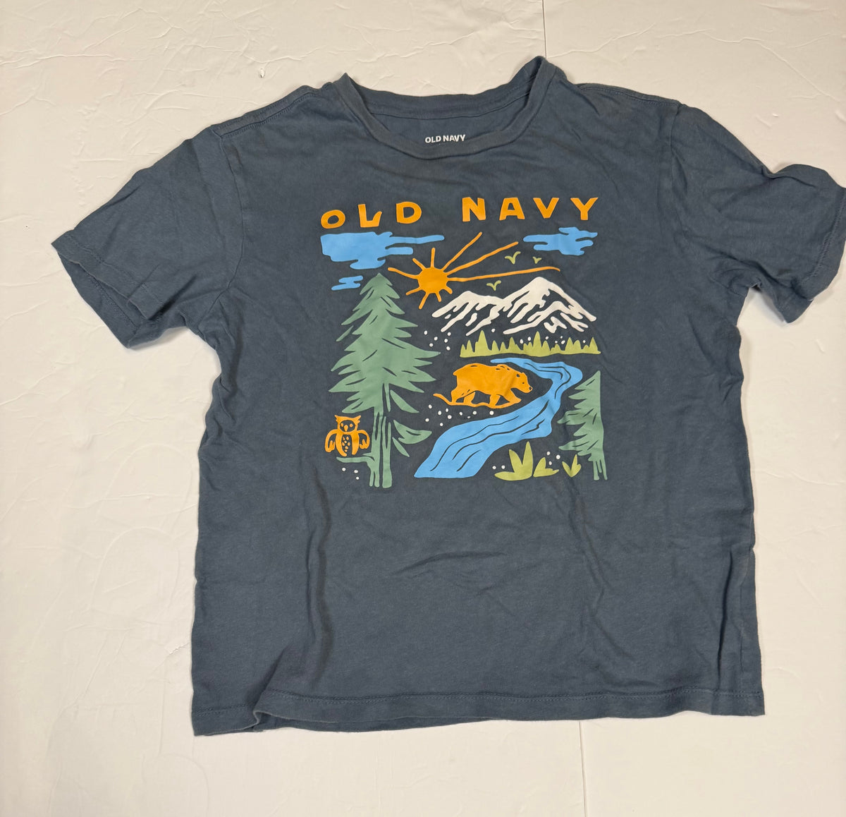 #141 Boys Large 10-12 Old navy Short Sleeve Nature Bundle