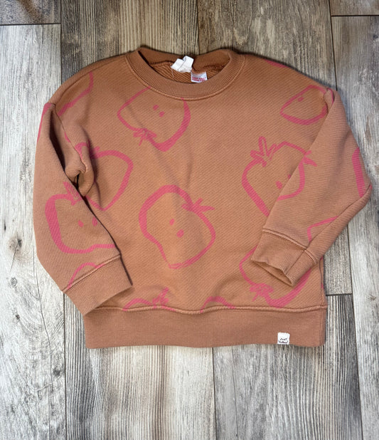 Seller #84 | EUC Zara 2-3Y Apple Sweatshirt