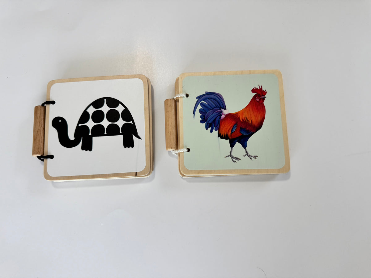 Seller #29 Lovevery Montessori Wooden Book Set