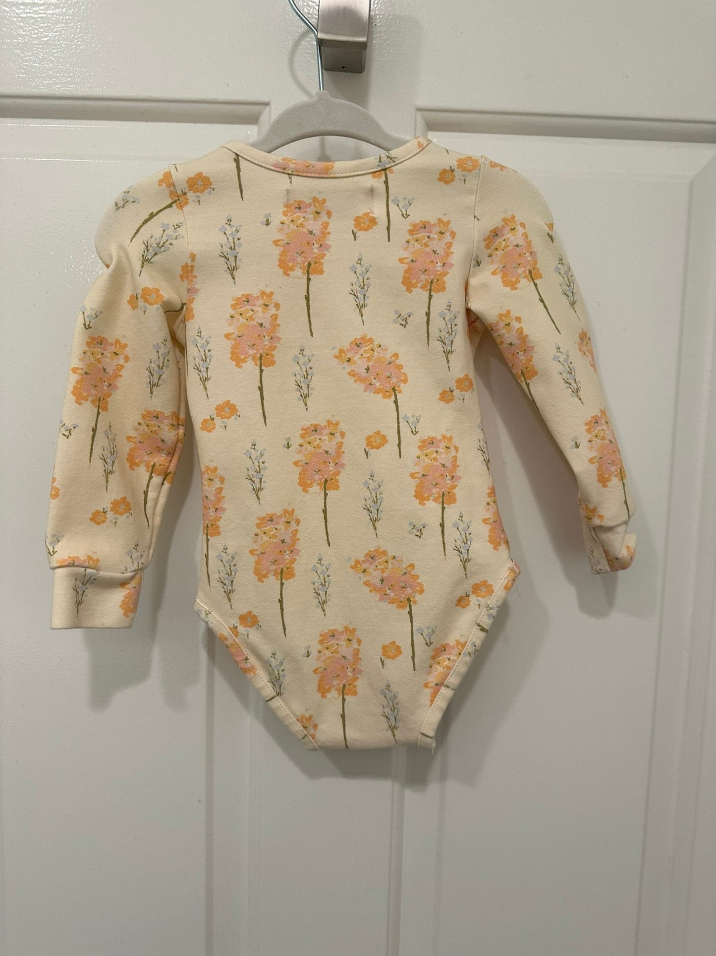#85 SweetHoney Peter Pan Floral Onesie, Infant girls 12m