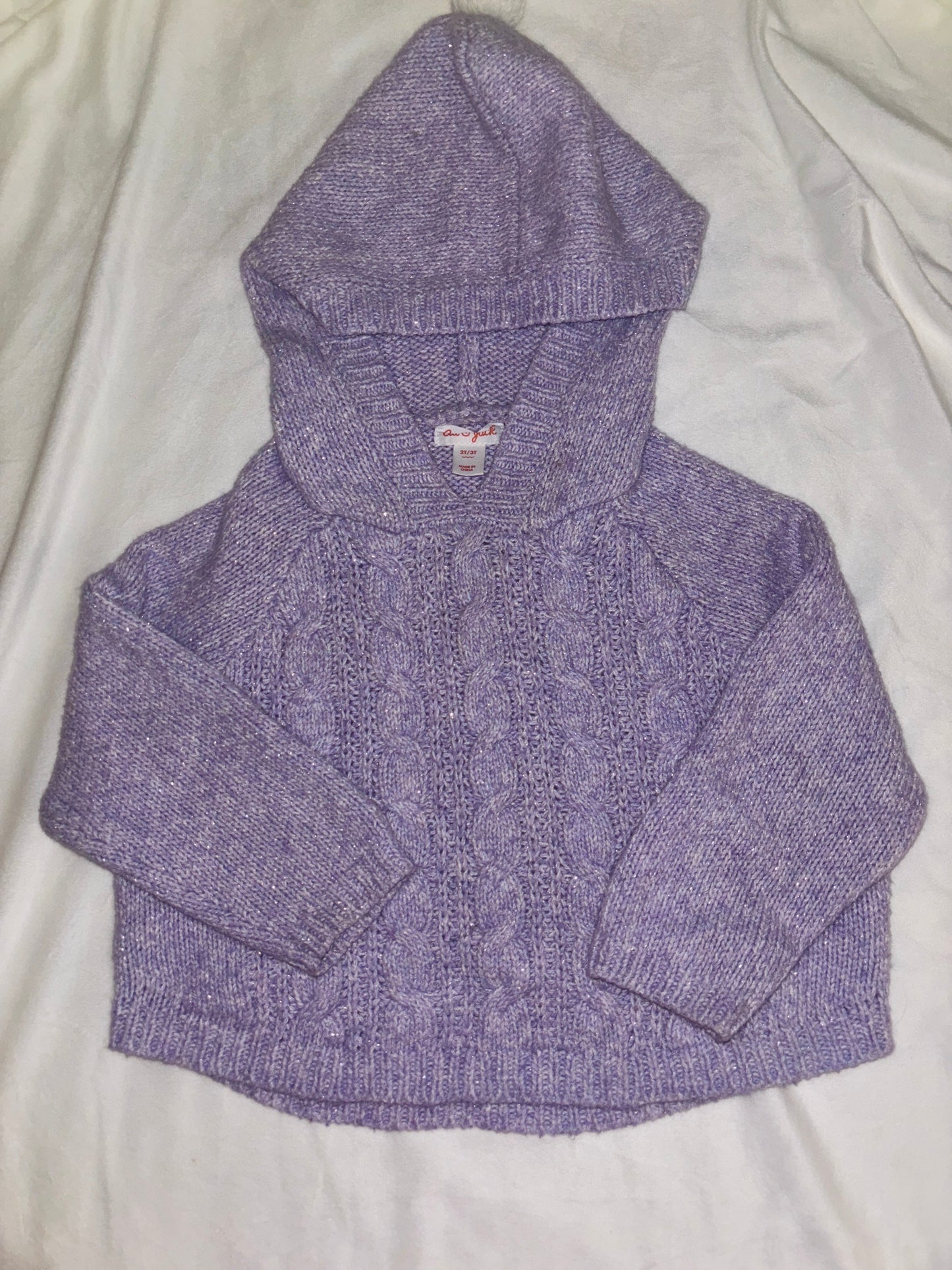 #84 *REDUCED* Cat & Jack 2T/3T Hooded Sweater