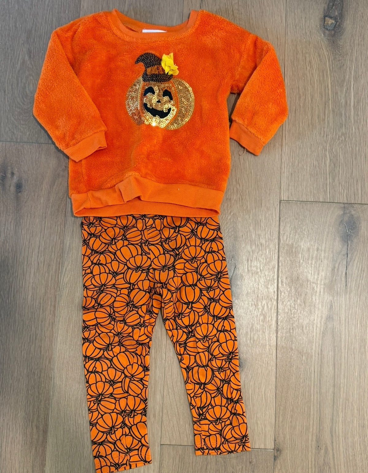 #21 • Girls • Kenzie Girl • 2T • VGUC