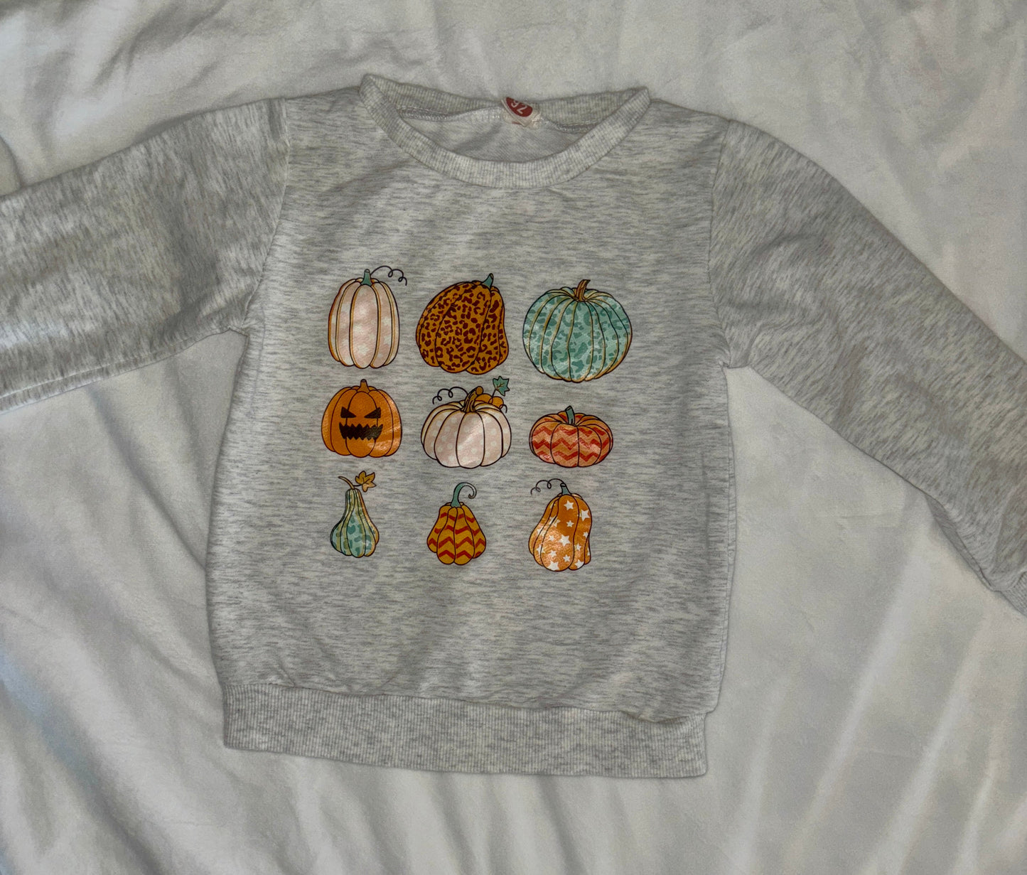 #84 *REDUCED* Amazon Fall Pumpin Sweatshirt 90c/2T (fits more like 12-24m)