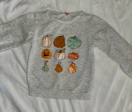 #84 *REDUCED* Amazon Fall Pumpin Sweatshirt 90c/2T (fits more like 12-24m)