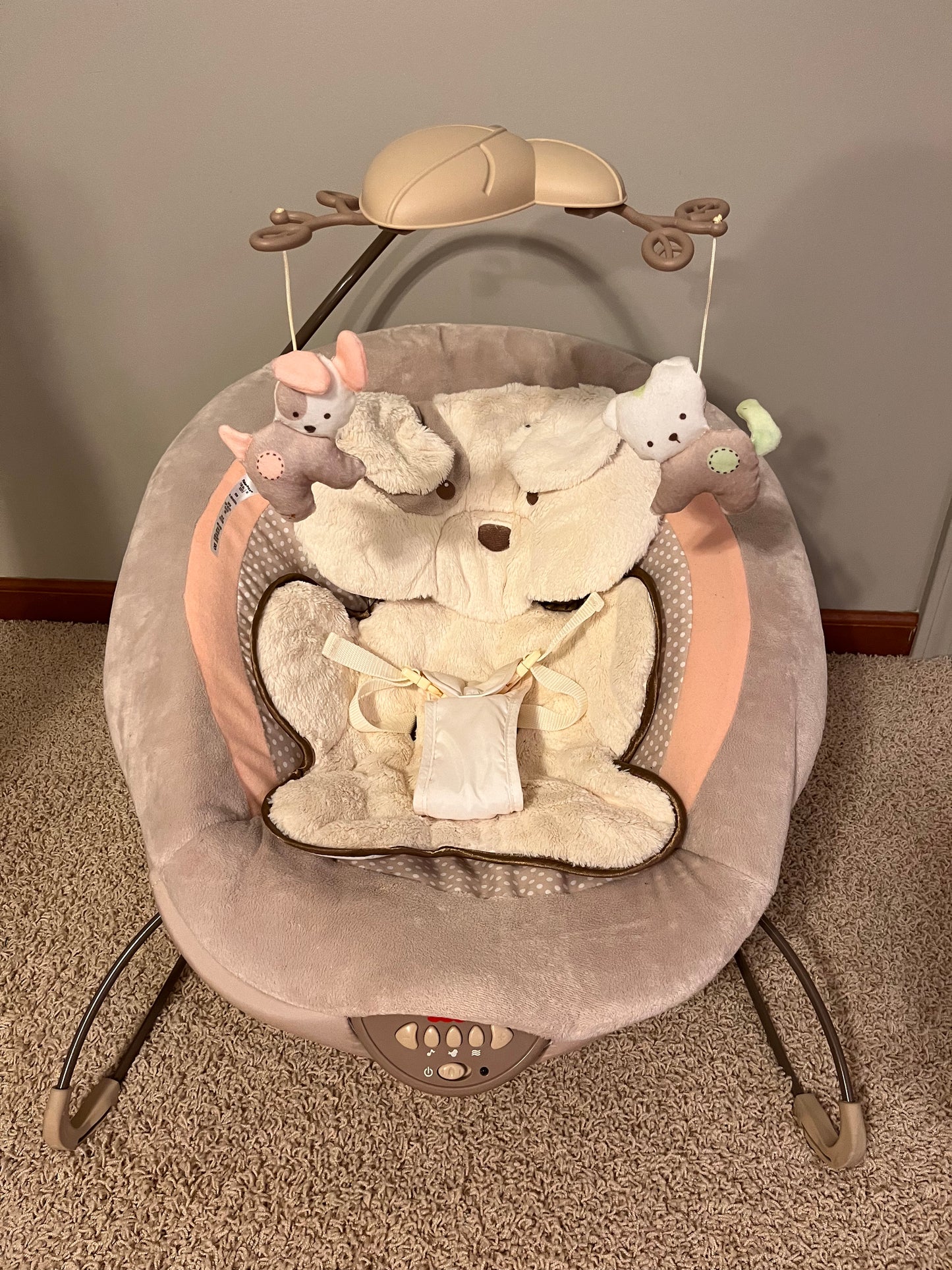 Fisher Price Snuggapuppy Bouncer