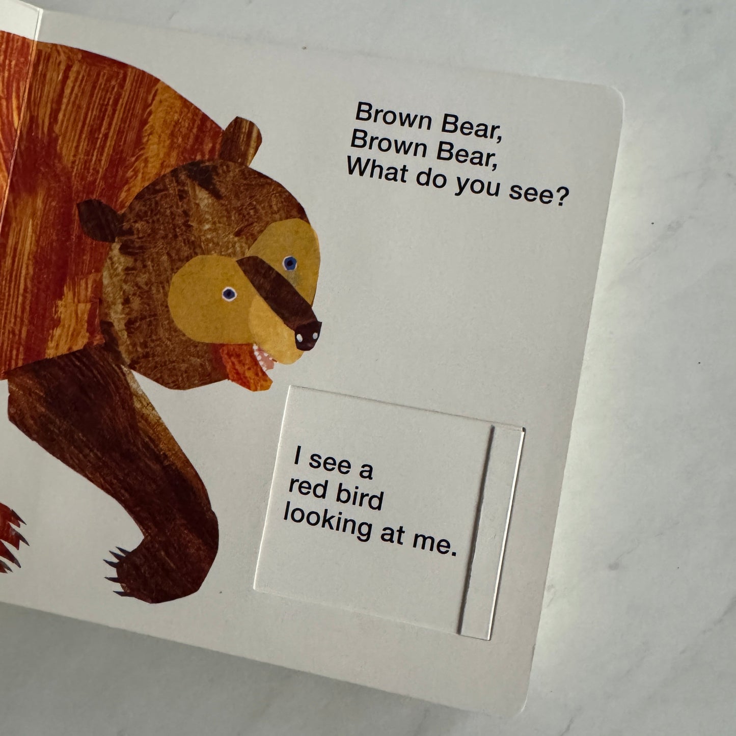 Seller 196 Brown Bear book