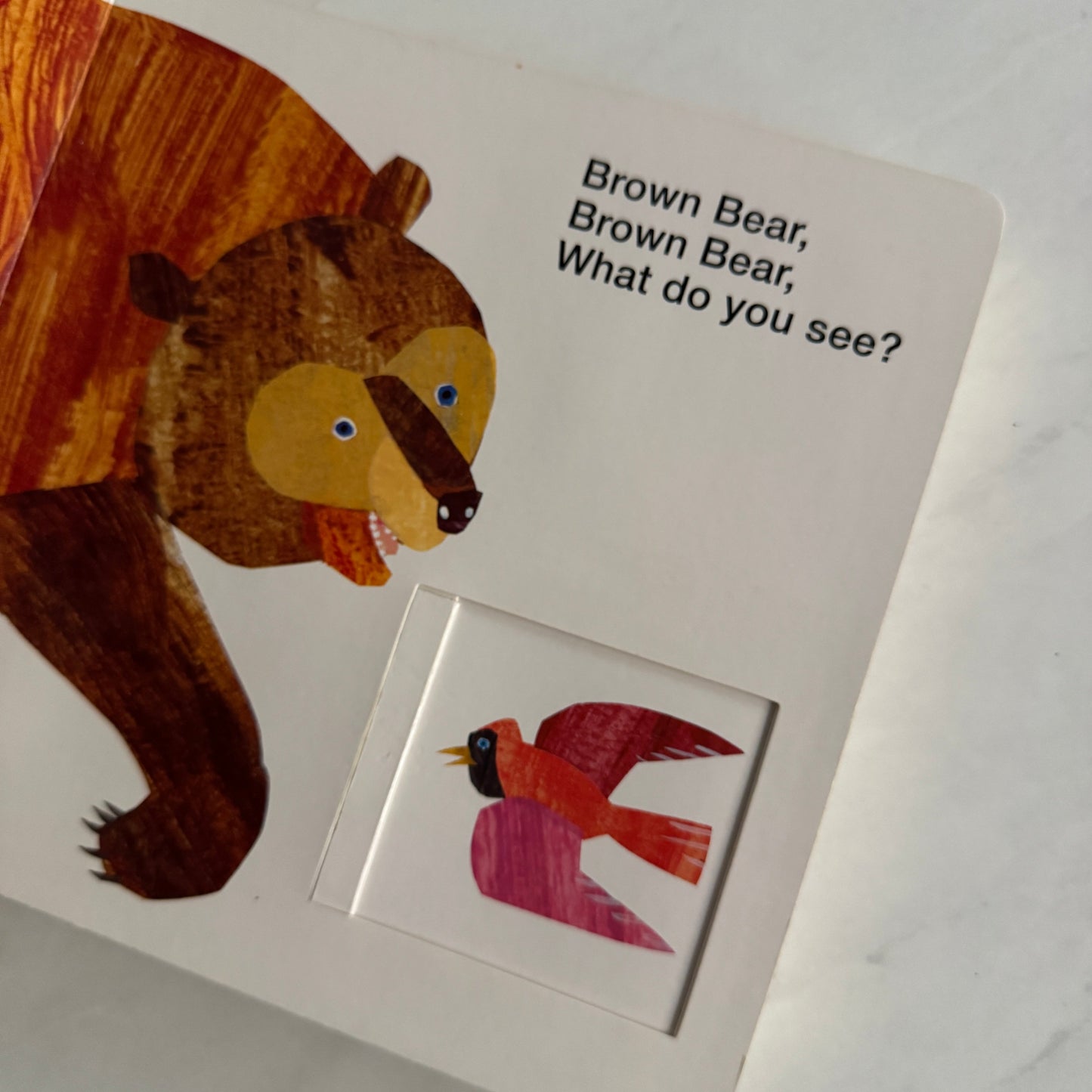 Seller 196 Brown Bear book