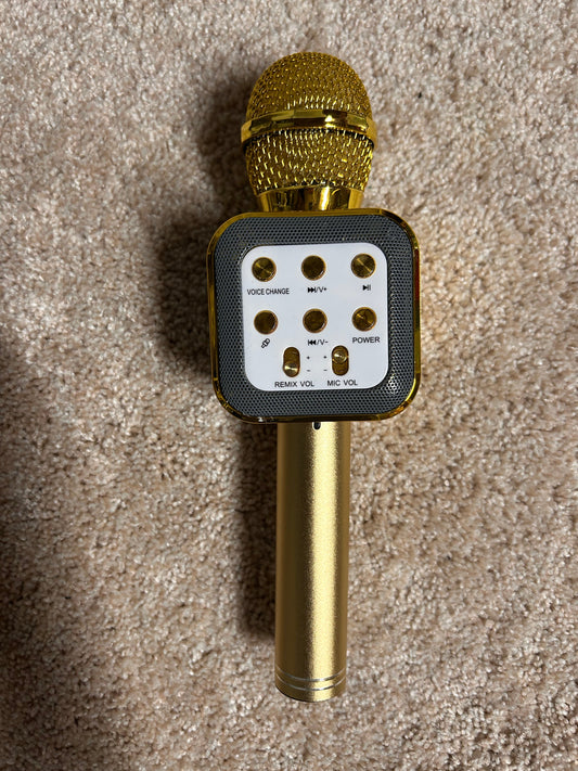 #80 Microphone