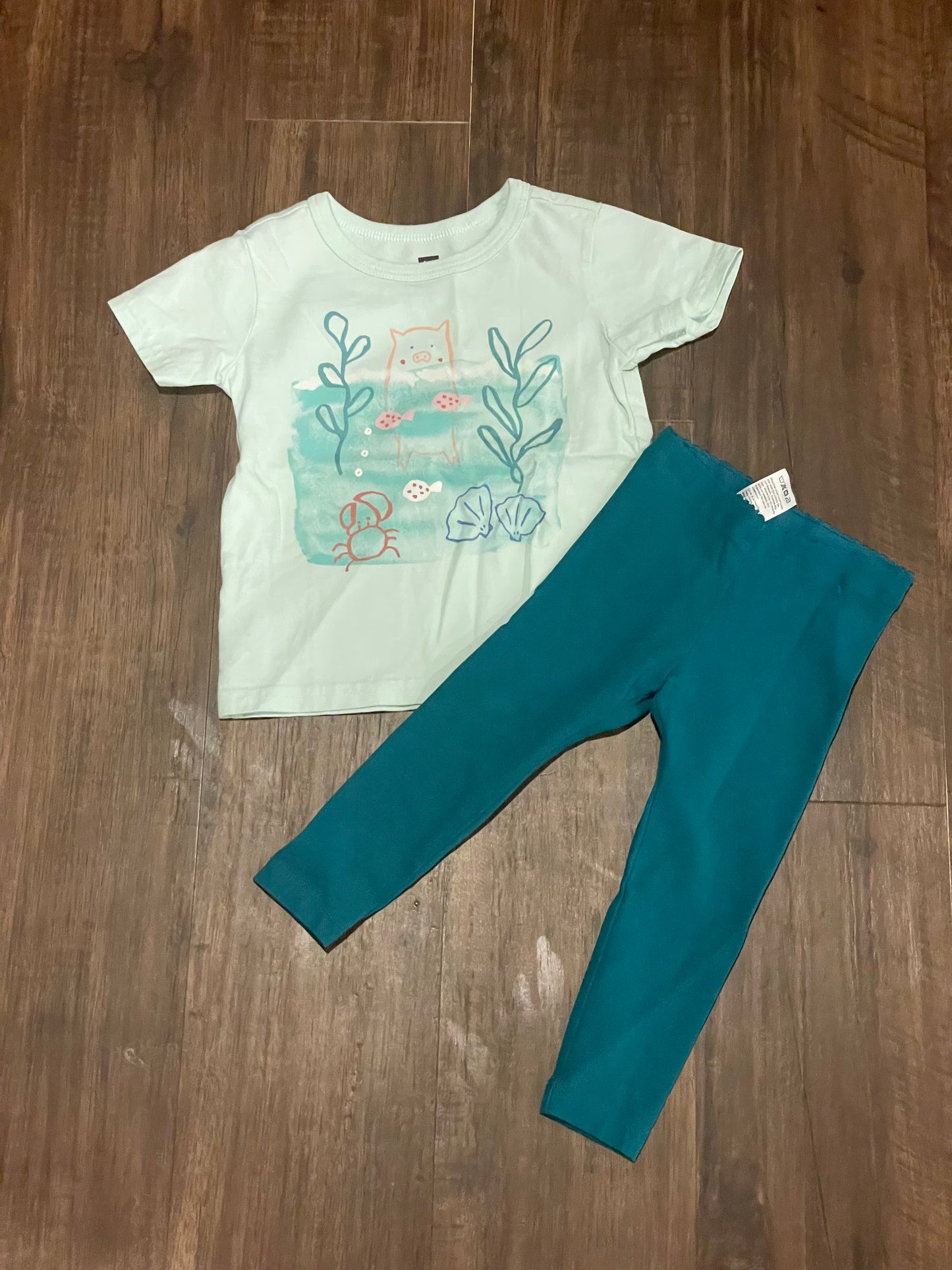 83A girls Tea Collection shirt and pant set teal size 18 months EUC