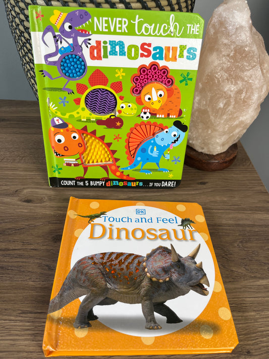 Seller#213 Set of 2 Dino Baby Books EUC/GUC