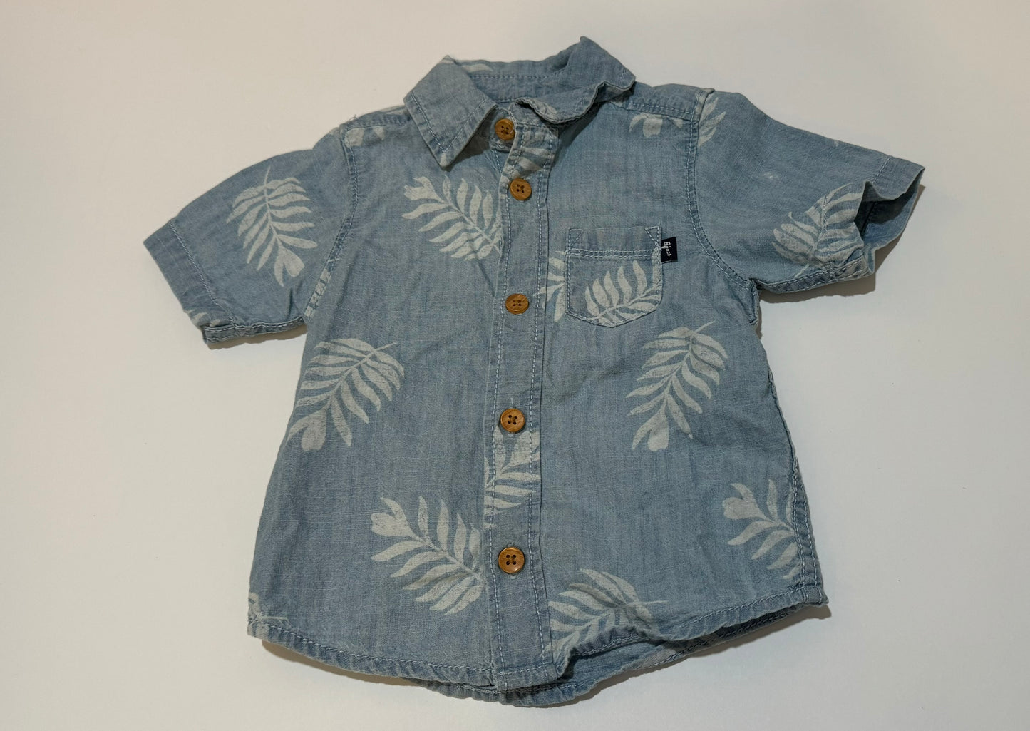 12 months Boys Button Down Island Shirt